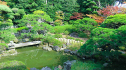 四百年の古美術・百年の庭と茶室。萩の歴史と自然に浸る宿実現へ のトップ画像
