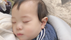 娘と孫へ 写真館でのサプライズを！ のトップ画像