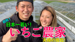新規就農『いちご農家』20歳と24歳の夫婦がいちごに挑戦！ のトップ画像