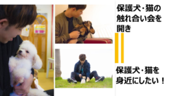 保護犬保護猫の触れ合い会を開き、保護犬・猫を身近にしたい！ のトップ画像