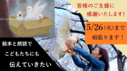 瀕死のあひるの実話を絵本にして捨てられるあひるをなくしたい のトップ画像