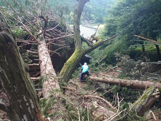災害時も動ける森林里山保全ボランティアを三重県熊野市で育成！ のトップ画像