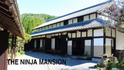 The Ninja Mansionは新たなステージへ。愛犬とともに寛げる宿を のトップ画像