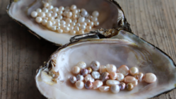 中山道・守山宿に琵琶湖パールの魅力発信拠点を作りたい！ のトップ画像