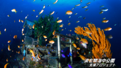 世界唯一の海底神社を後世に残したい。波左間支援プロジェクト のトップ画像