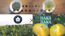 発掘ニッポン『究極の香るジャパニーズティー』プロジェクト のトップ画像