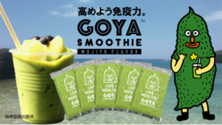 宮古島のゴーヤで作ったモヒート風スムージーを全国に届けたい！ のトップ画像