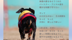 動物と人の絆を繋ぐ無償の愛の学校、『命の学校』を開校！ のトップ画像