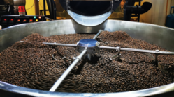 コーヒー×微生物ベンチャー×ジャコウネコでこの瞬間の１杯へ のトップ画像