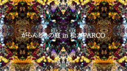 「がらんどうの庭in松本パルコ」再開催に向けた支援について のトップ画像