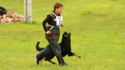 愛犬家が愛犬と楽しみながら１日を過ごせるトレーニング施設を作りたい のトップ画像