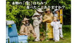 北欧リトアニア産100%天然の「生」はちみつを届けたい！ のトップ画像