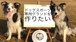 ドッグスポーツを通ししつけとマナーを学ぶグラウンドを作りたい のトップ画像