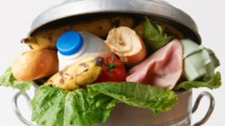 ”MOTTAINAI" 食品廃棄を救おう！ "HUNGRY" のトップ画像