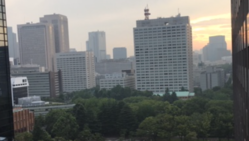 コロナウイルス後の不動産投資で騙されないために！ のトップ画像