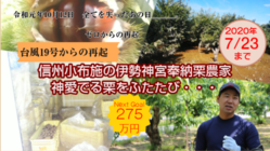 神宮奉納した信州小布施栗農家、台風19号被災から再起目指す！ のトップ画像