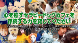 心を癒すセラピードッグカフェを存続する力を貸してください のトップ画像