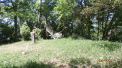 堂洞城址周辺の整備をし、説明板を改修する。 のトップ画像