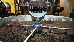 【少量生産】こだわり頑固農園の香り豊かなベトナムコーヒー のトップ画像