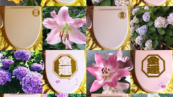 金運温水洗浄便座を世間に広めたい！！ のトップ画像