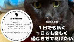 怪我、病気、ダブルキャリア4度の手術に耐えた太朗の治療を続けたい のトップ画像