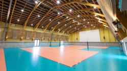 岩手県の中学生バレーボーラーに晴れの舞台を与えたい のトップ画像