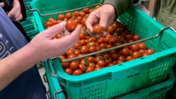 若者を仕事へ導く…コロナウイルスに負けるな！ のトップ画像