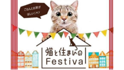 猫と住まいのフェスティバル～ボサノバコンサート付 のトップ画像