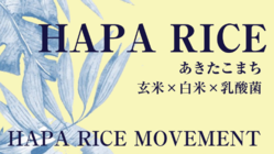日本初・あきたこまちで乳酸菌入りレトルトごはんを開発！ のトップ画像