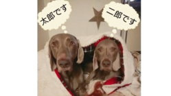 寝方の癖がすごい