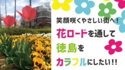 笑顔咲くやさしい街へ！花ロードを通して徳島をカラフルにしたい