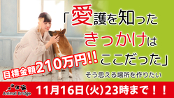 ふれあい型犬猫シェルター設立プロジェクト｜＃きっかけが繋いでいく　 のトップ画像