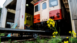 いすみ鉄道に愛を取り戻せ！写真による文化拠点構築プロジェクト のトップ画像