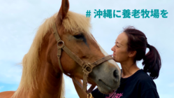 見放された馬に再チャンスを！沖縄に引退馬のふれあい牧場を のトップ画像