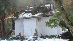 樹齢800年の大枝が直撃！登録文化財熊野神社を修繕し、後世へ！ のトップ画像