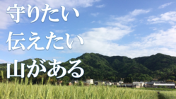 山城歴史ロマン開拓！中世から伝わる馬車道跡を登山道に整備！ のトップ画像