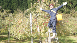 丸かじりリンゴを届けたい のトップ画像