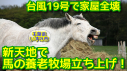 家屋全壊の被災を乗り越え、新天地で馬の養老牧場の立ち上げ！ のトップ画像