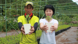 1つぶの種から緑の山へ、山林種苗農家を継続したい。 のトップ画像