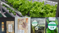 期待を込めた4つの生きた乳酸菌配合商品開発・販売～医食同源～ のトップ画像