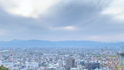 新システムの開発！【無人物流システム】 のトップ画像