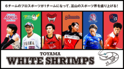 【スポーツの力で富山を元気に】TOYAMA WHITE SHRIMPS のトップ画像