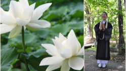 孤独死が増えた今だから実現したい【宗派を超えた】僧侶の葬儀社 のトップ画像