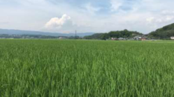 大分のお米・野菜を皆さんに届けたい。 のトップ画像