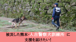 復旧支援：被災した熊本の災害救助犬・警察犬訓練拠点を再興 のトップ画像