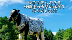 動物たちにも希望を！ Honey's Sanctuary のトップ画像