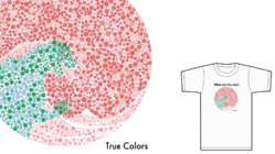 ありそうでなかった、 ダブルビジョンTシャツを制作！ のトップ画像