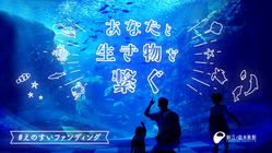 新江ノ島水族館｜あなたと生き物を繋ぐ #えのすいファンディング のトップ画像