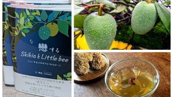 愛玉子（ｵｰｷﾞｮｰﾁ）で「台湾」がもっと好きになる！ のトップ画像