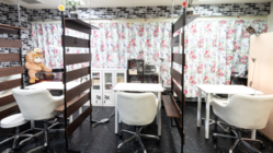 おしゃれなシニア女性を応援するネイルサロンをオープンします のトップ画像